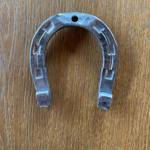 A little wrought iron horseshoe