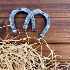 A little wrought iron horseshoe