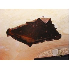 A ceiling wrought iron light Bark (LK-100)
